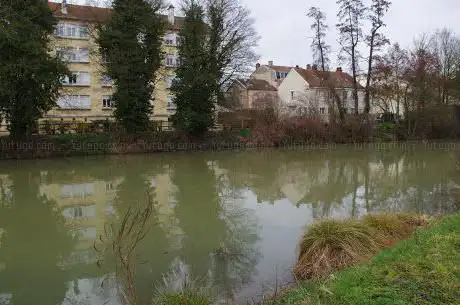 Photo de Réserve Naturelle Nationale des Pâtis d'Oger et du Mesnil-sur-Oger
