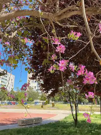Photo de Nicolás Maria Garelli Park