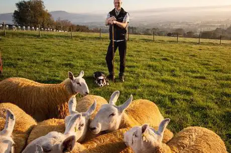 Glenshane Country Farm