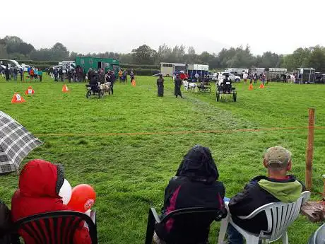 Photo de Loweswater Show