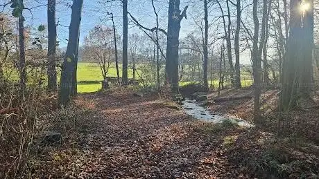Photo de Linnenbeeke