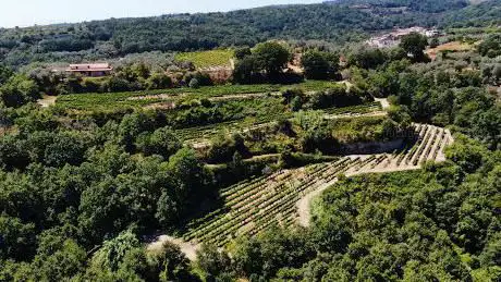 Photo de Parco Regionale Roccamonfina - Foce Garigliano
