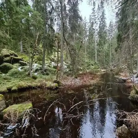 Photo de Stuverydsbäckens naturreservat