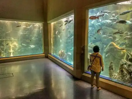 Photo de Aquarium Finisterre