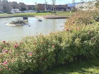 Photo de Lago