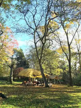 Photo de Tortworth Forest Centre & Arboretum