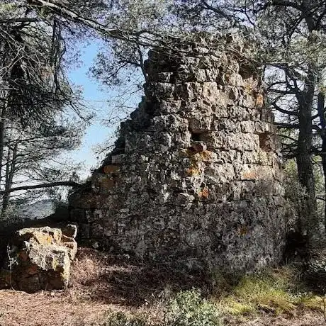Photo de Castell de l'Albà