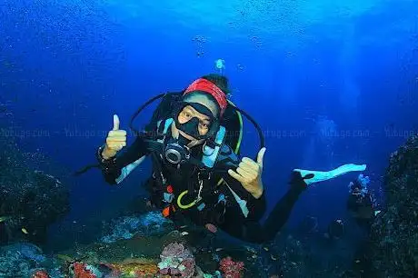 Photo de Scuba Diving | Diving Tour | Dalış Turu Antalya