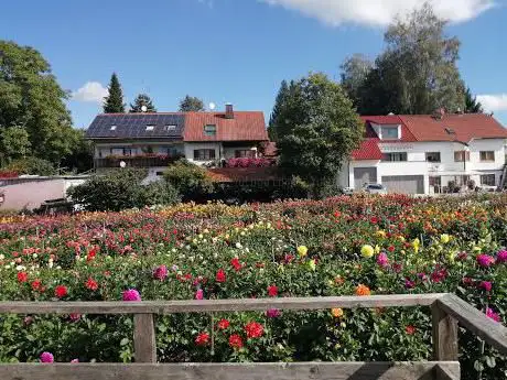 Photo de Svens Kleine Dahlienschau