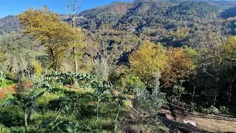 Photo de PR1 - Caminho do Prado (InÃcio / Fim)
