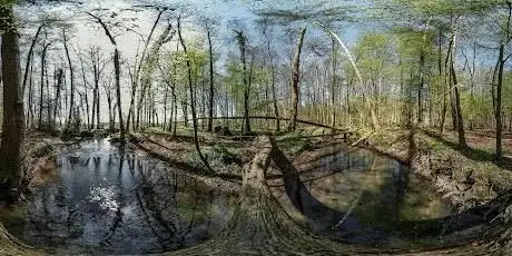 Photo de Schönebecker Aue