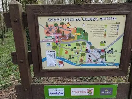 Photo de Drumboe Woods