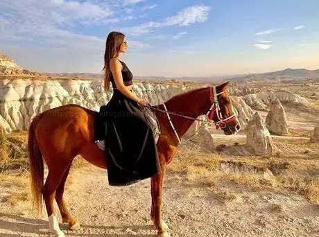 Photo de Rose Valley Horses