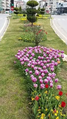 Photo de 78. Yıl Cumhuriyet Parkı