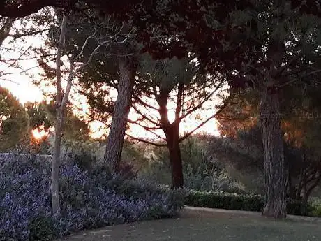 Photo de Público Jardines Park