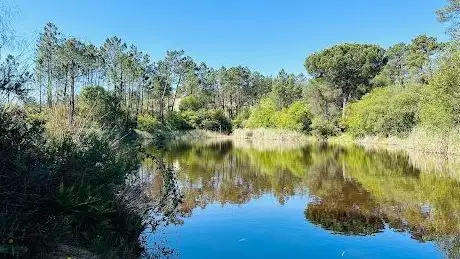 Photo de Lago da Mata da Machada