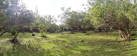 Photo de Parc rivière du mat les bas