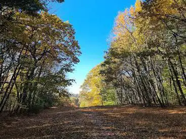 Photo de Robinson State Park
