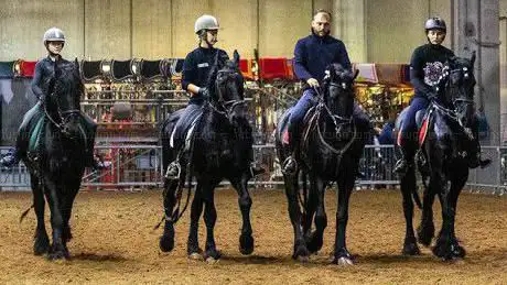 Photo de CENTRO EQUESTRE LE GRAND NOIR