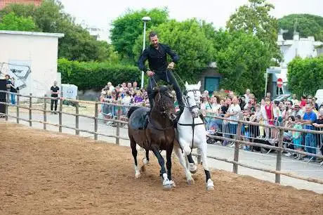 Photo de WAR HORSES