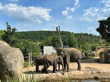 Photo of Prague Zoo
