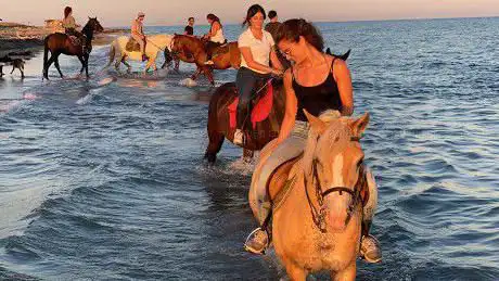 Photo de I.S.A.C.O. Emozioni a Cavallo