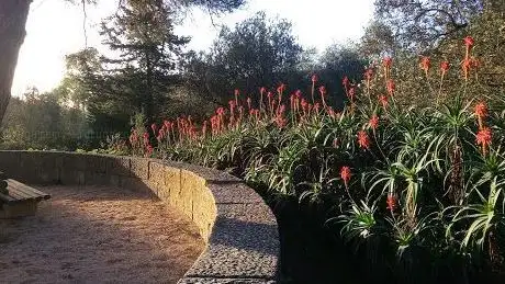 Photo de Percurso dos Moinhos do Mocho (Verde)