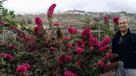 Photo de Club Petanca Rosales