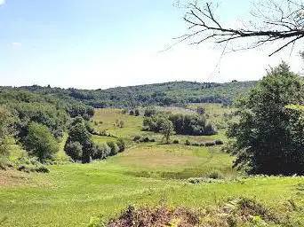 Photo de Natural Reserve of the Bog of Dauges