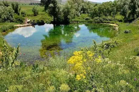 Photo de Göl Değirmeni