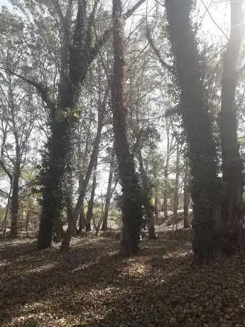Photo de Bosc de l'alegria