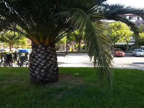 Photo de Santuiturri Jolas Parkea