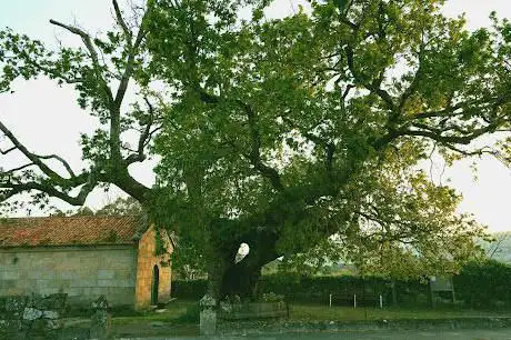Photo de Carballo de Santa Margarida