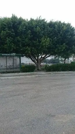 Photo de Şehit Piyade Astsubay Sait Parlak Parkı
