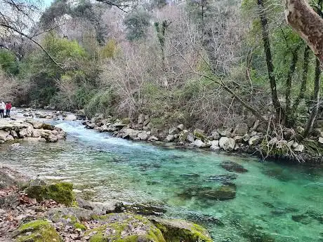 Photo de Rives du loup