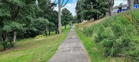 Monkstown Wood
