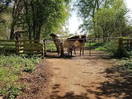 Photo de Redgrave and Lopham Fen
