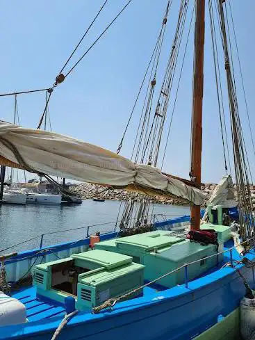 Photo de Voilier traditionnel Amzer'zo, sorties en mer