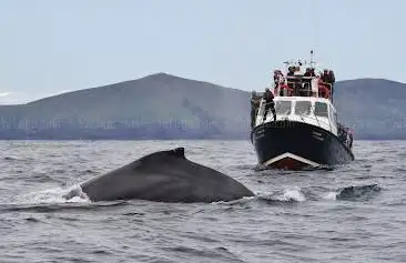 Eco Marine Tours