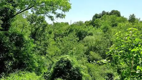 Photo de Terril des Piges