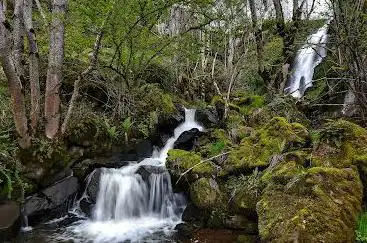 Photo de Cascade des Roches