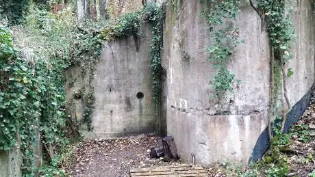 Photo de Ouvrage d'infanterie Champagne