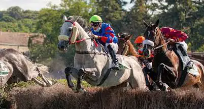 Photo de Soc de Courses de la Roche Posay
