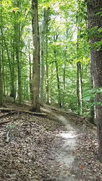 Photo de Rosaryville State Park