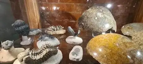 Photo de Museum of Minerals in Kołobrzeg