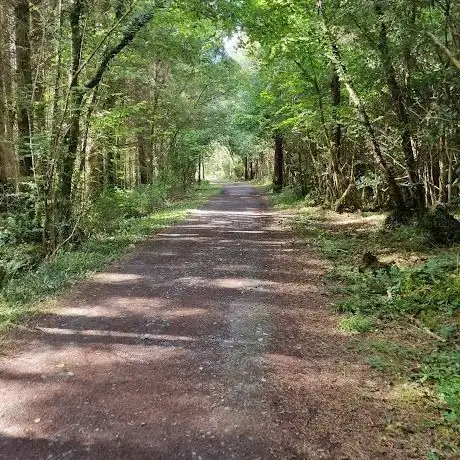 Photo de Roscahill Woods Trail