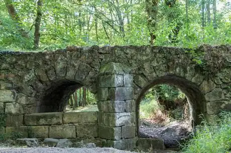 Photo de Bois des Templiers