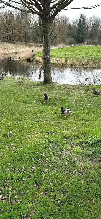 Photo de Espace naturel du Grand Coin