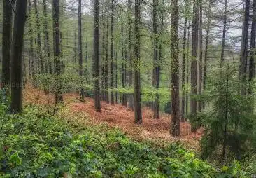 Photo de Vijlenerbos