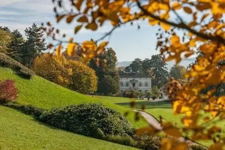 Photo of Merian Gardens